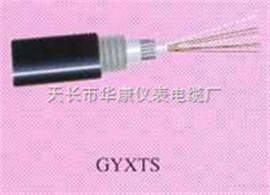 天長市華康儀表電纜廠GYXTS光纜產品報價及采購指南